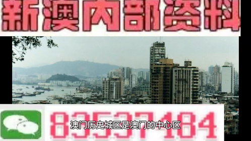 新澳门资料免费长期精选解析落实，探索与前瞻