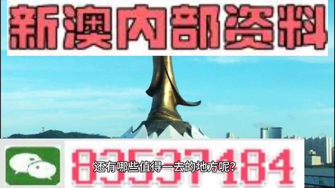 新澳2024年免费资料，精选解释解析与落实行动