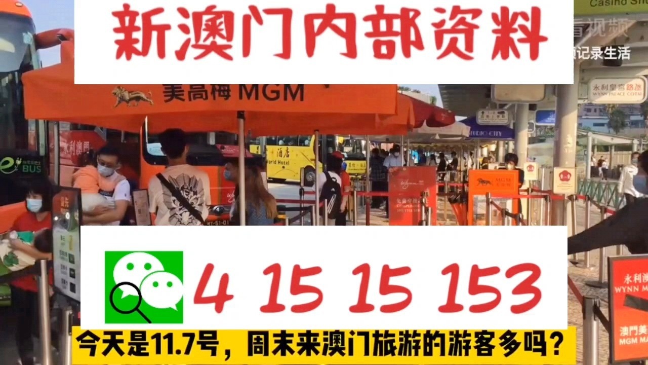 新澳门今晚必开一肖一特，解析与落实精选解释