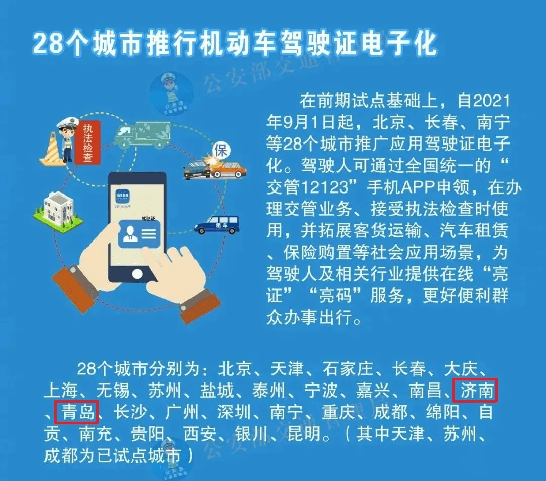 探索6h彩经网澳门，精选解释解析与落实策略