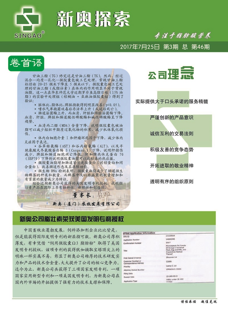 探索新澳正版资料，解析、落实与精选指引